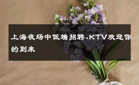 上海夜场中低端招聘,KTV欢迎你的到来 