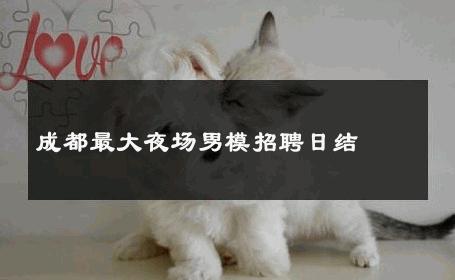 成都最大夜场男模招聘日结 