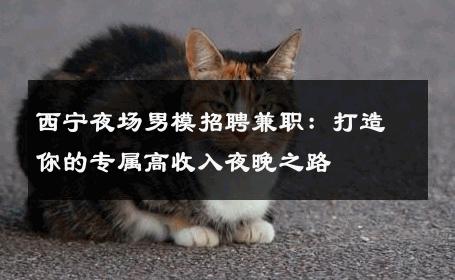 西宁夜场男模招聘兼职：打造你的专属高收入夜晚之路 