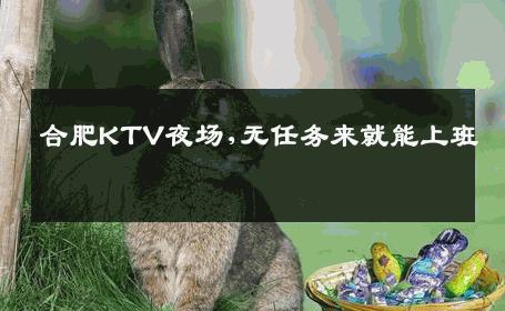 合肥KTV夜场,无任务来就能上班 