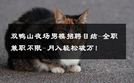双鸭山夜场男模招聘日结-全职兼职不限-月入轻松破万！ 