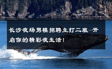 长沙夜场男模招聘主打二班-开启你的精彩夜生活！ 