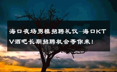 海口夜场男模招聘礼仪-海口KTV酒吧长期招聘机会等你来！ 