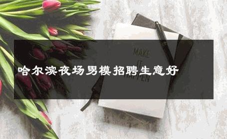 哈尔滨夜场男模招聘生意好 