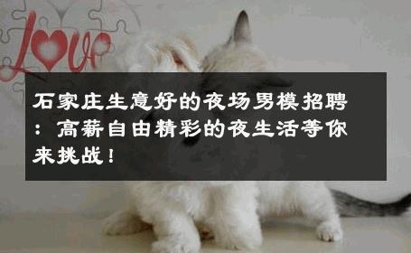 石家庄生意好的夜场男模招聘：高薪自由精彩的夜生活等你来挑战！ 