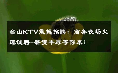 台山KTV震撼招聘：商务夜场火爆诚聘-薪资丰厚等你来！ 