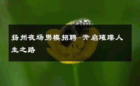 扬州夜场男模招聘-开启璀璨人生之路 