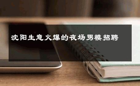 沈阳生意火爆的夜场男模招聘 