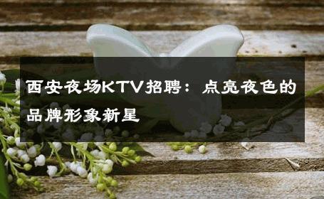 西安夜场KTV招聘：点亮夜色的品牌形象新星 