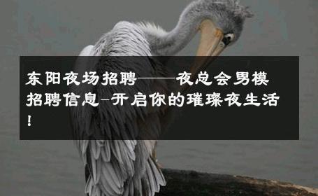 东阳夜场招聘——夜总会男模招聘信息-开启你的璀璨夜生活！ 