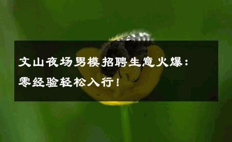 文山夜场男模招聘生意火爆：零经验轻松入行！ 