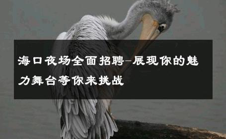 海口夜场全面招聘-展现你的魅力舞台等你来挑战 