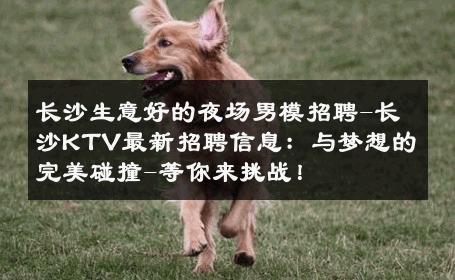 长沙生意好的夜场男模招聘-长沙KTV最新招聘信息：与梦想的完美碰撞-等你来挑战！ 