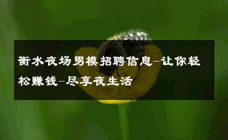 衡水夜场男模招聘信息-让你轻松赚钱-尽享夜生活 
