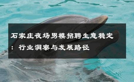 石家庄夜场男模招聘生意稳定：行业洞察与发展路径 