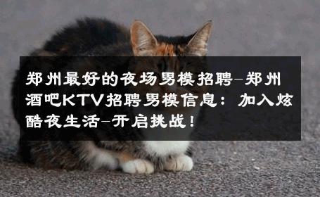 郑州最好的夜场男模招聘-郑州酒吧KTV招聘男模信息：加入炫酷夜生活-开启挑战！ 