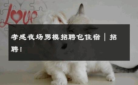 孝感夜场男模招聘包住宿｜招聘！ 