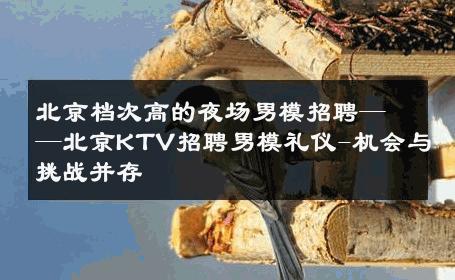 北京档次高的夜场男模招聘——北京KTV招聘男模礼仪-机会与挑战并存 