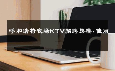 呼和浩特夜场KTV招聘男模,佳丽 