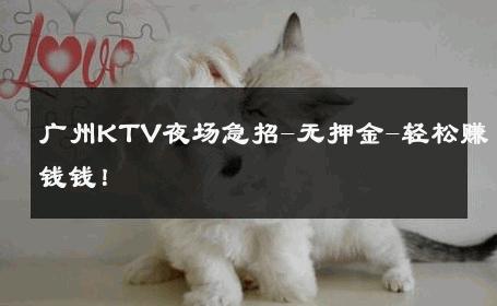 广州KTV夜场急招-无押金-轻松赚钱钱！ 
