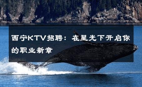 西宁KTV招聘：在星光下开启你的职业新章 