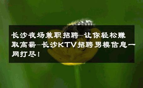 长沙夜场兼职招聘-让你轻松赚取高薪-长沙KTV招聘男模信息一网打尽！ 