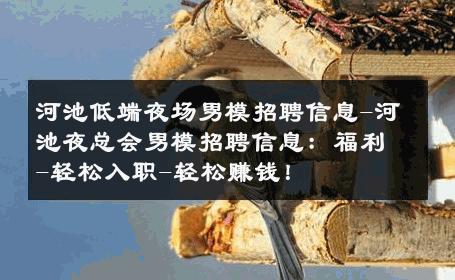 河池低端夜场男模招聘信息-河池夜总会男模招聘信息：福利-轻松入职-轻松赚钱！ 