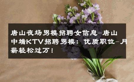 唐山夜场男模招聘女信息-唐山中端KTV招聘男模：优质职位-月薪轻松过万！ 