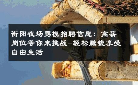 衡阳夜场男模招聘信息：高薪岗位等你来挑战-轻松赚钱享受自由生活 