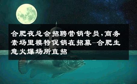 合肥夜总会招聘营销专员,商务素场里模特促销在招募-合肥生意火爆场所直招