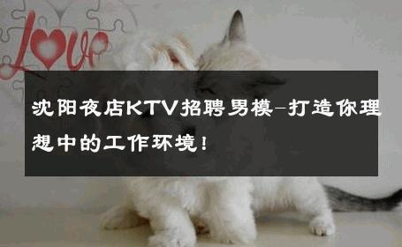 沈阳夜店KTV招聘男模-打造你理想中的工作环境！ 