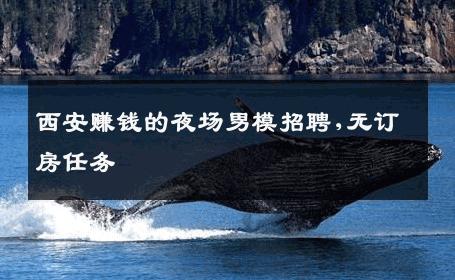 西安赚钱的夜场男模招聘,无订房任务 