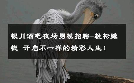银川酒吧夜场男模招聘-轻松赚钱-开启不一样的精彩人生！ 