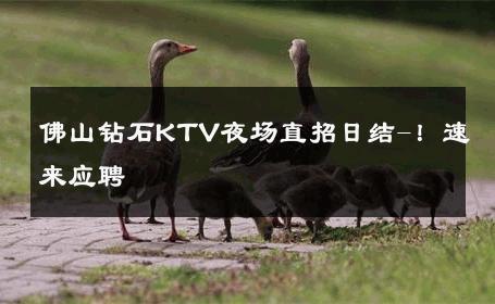 佛山钻石KTV夜场直招日结-！速来应聘 