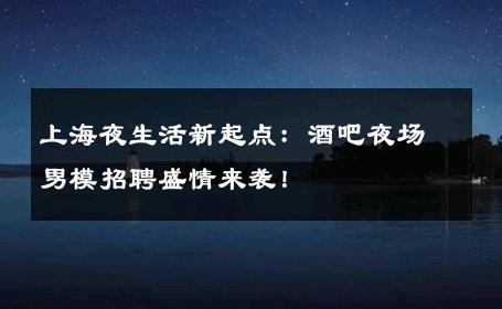 上海夜生活新起点：酒吧夜场男模招聘盛情来袭！ 