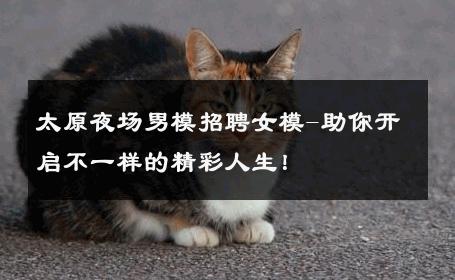 太原夜场男模招聘女模-助你开启不一样的精彩人生！ 