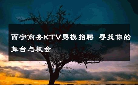 西宁商务KTV男模招聘-寻找你的舞台与机会 