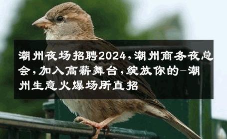 潮州夜场招聘2024,潮州商务夜总会,加入高薪舞台,绽放你的-潮州生意火爆场所直招