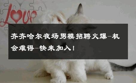 齐齐哈尔夜场男模招聘火爆-机会难得-快来加入！ 