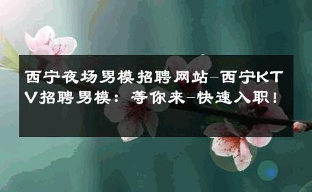 西宁夜场男模招聘网站-西宁KTV招聘男模：等你来-快速入职！ 