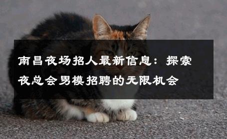 南昌夜场招人最新信息：探索夜总会男模招聘的无限机会 