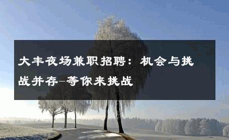 大丰夜场兼职招聘：机会与挑战并存-等你来挑战 