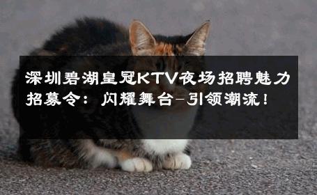 深圳碧湖皇冠KTV夜场招聘魅力招募令：闪耀舞台-引领潮流！ 