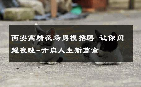 西安高端夜场男模招聘-让你闪耀夜晚-开启人生新篇章 