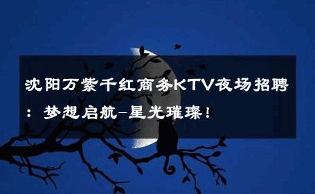 沈阳万紫千红商务KTV夜场招聘：梦想启航-星光璀璨！ 