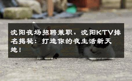沈阳夜场招聘兼职，沈阳KTV排名揭秘：打造你的夜生活新天地！