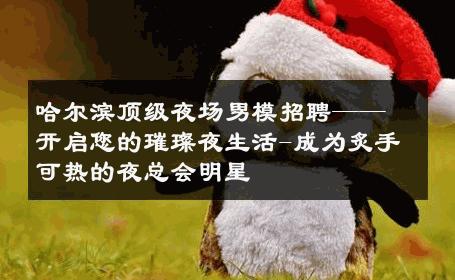 哈尔滨顶级夜场男模招聘——开启您的璀璨夜生活-成为炙手可热的夜总会明星 
