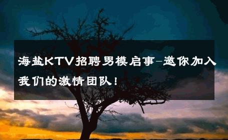 海盐KTV招聘男模启事-邀你加入我们的激情团队！ 