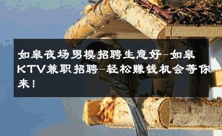 如皋夜场男模招聘生意好-如皋KTV兼职招聘-轻松赚钱机会等你来！ 