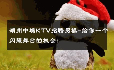 湖州中端KTV招聘男模-给你一个闪耀舞台的机会！ 